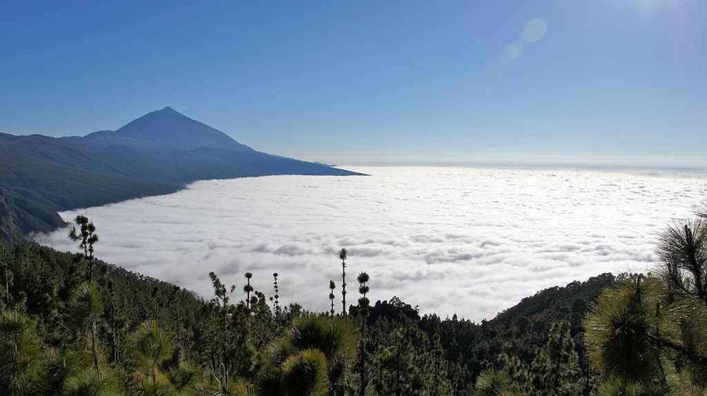 El Paraíso en Los Gigantes Santiago del Teide Exterior foto