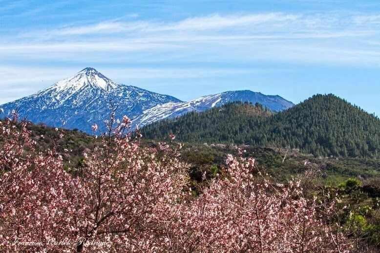 El Paraíso en Los Gigantes Santiago del Teide Exterior foto